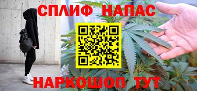 прущие грибы Комсомольск-на-Амуре