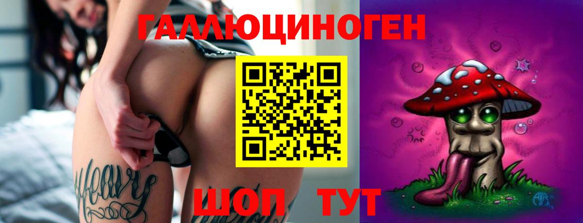 Псилоцибиновые грибы Psilocybine cubensis  Вход с VPN  Анжеро-Судженск 